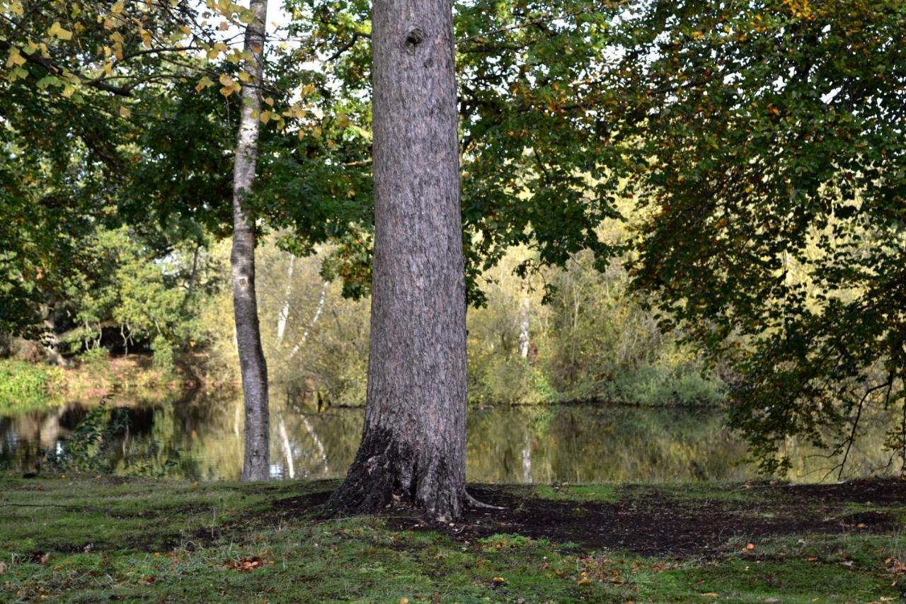 Lakewood Retreat Woodhall Spa Εξωτερικό φωτογραφία